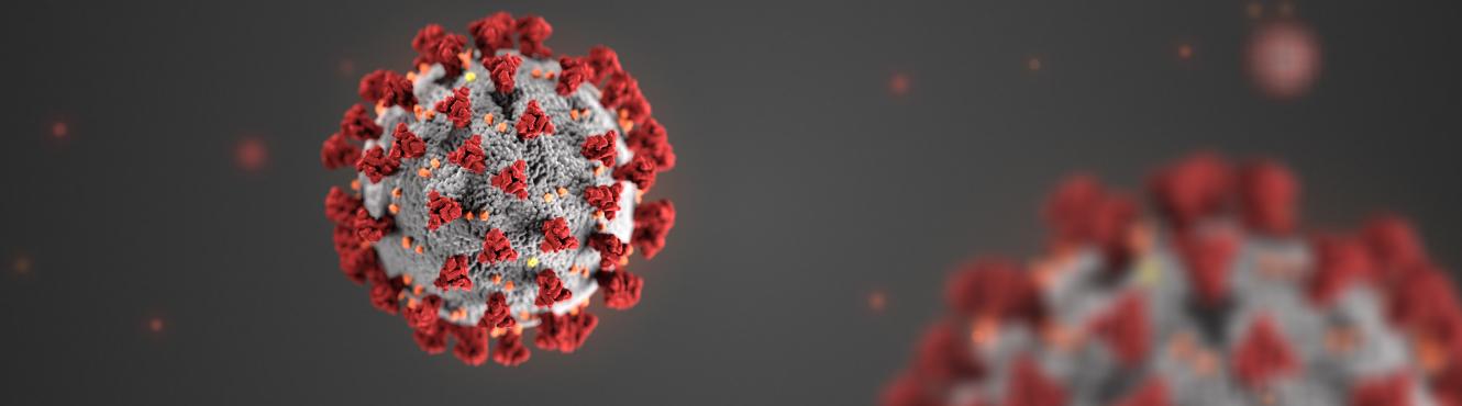 A highly detailed representation of the SARS-CoV-2 virus with distinctive spike proteins in red on a grey surface, set against a blurred background of similar particles.