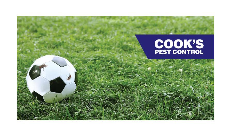 A soccer ball with two insects on a grassy field with the Cook's Pest Control logo in the corner.