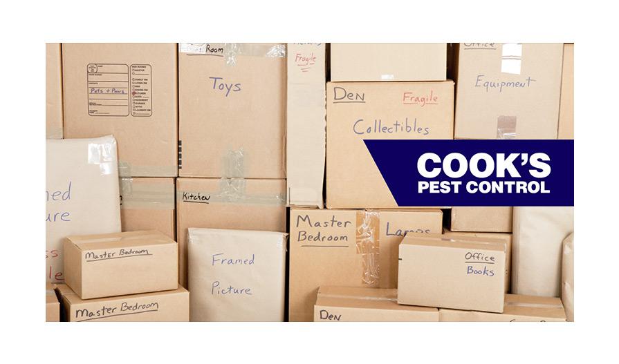 Several brown cardboard boxes labeled with household items and Cook's Pest Control logo.